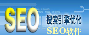 seo網(wǎng)站優(yōu)化需要做什么