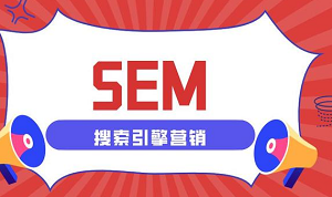 數(shù)據(jù)驅(qū)動(dòng)下的SEM優(yōu)化：精準(zhǔn)投放，提升ROI